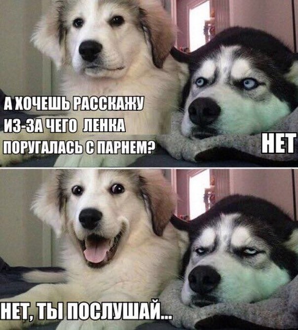 Бедные мужчины знают все о подругах жен женская логика, смешно, типичная девушка, фото