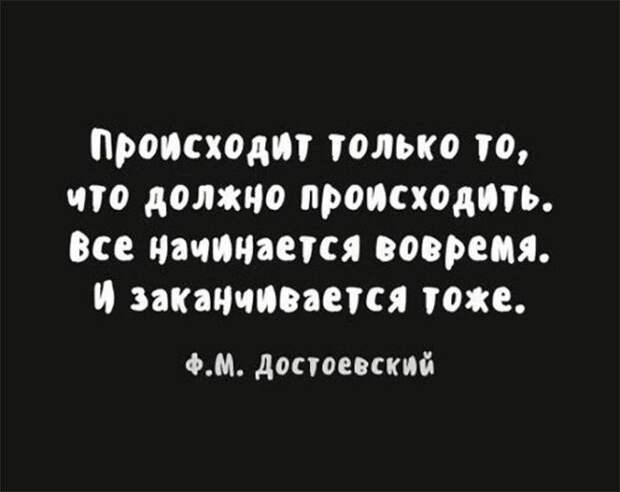 На Новый Год надейся, а сам наливай! открытки, приколы, юмор