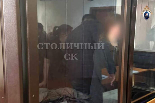 СК: соучастницу нападения на женщину на Строгинском бульваре в Москве арестовали