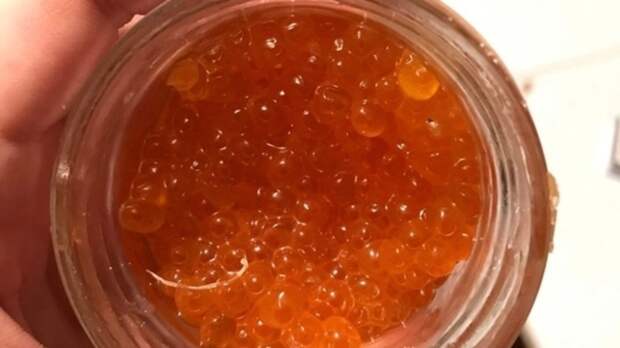 Спрятались в красной икре: Эти паразиты, которые могут спровоцировать рак и перелом позвоночника - годами не дают о себе знать