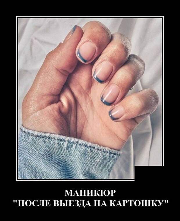 Демотиватор про картошку