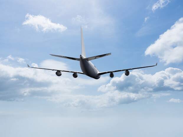 Авиапассажирам хотят разрешить самим регистрировать и сдавать багаж