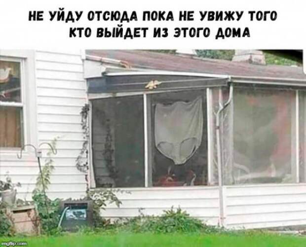 Немного картинок для настроения
