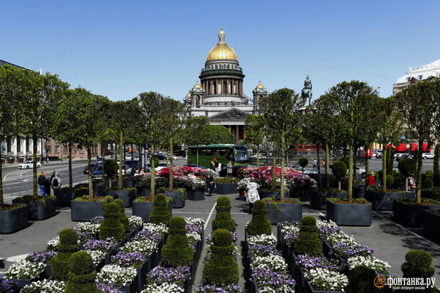 И снова липовый сад. У Мариинского дворца появятся деревья в кадках за сотню миллионов