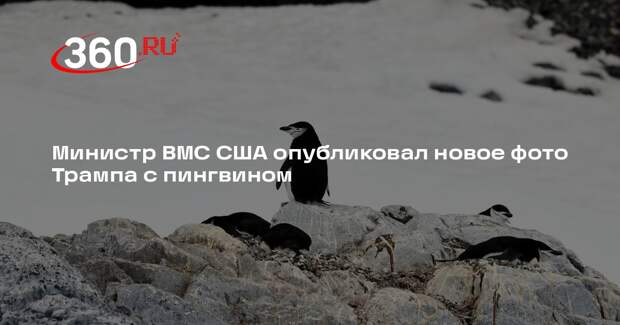 Министр ВМС США опубликовал новое фото Трампа с пингвином