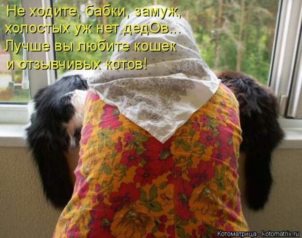 Лучшие котоматрицы недели (50 фото)