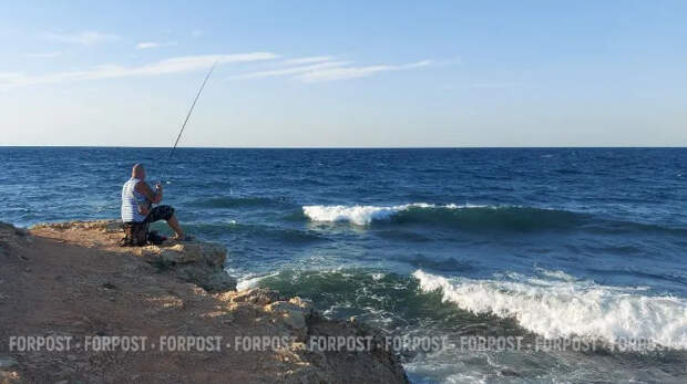 Учёные обнаружили в Азовском море скопления пиленгаса и метровых осетров