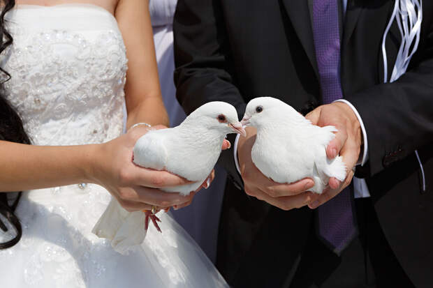 В России минимальный свадебный набор для двоих обойдется в 55 тыс. рублей