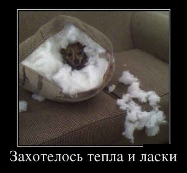 Демотиваторы (30 фото)