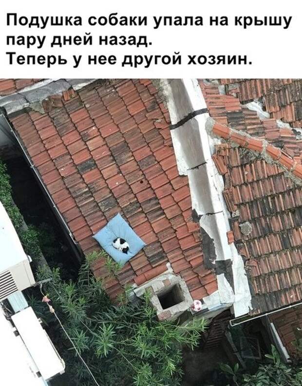 Всякости из ваших энторнетов