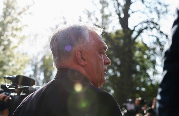 В Финляндии предупредили о последствиях победы Орбана на выборах в Венгрии