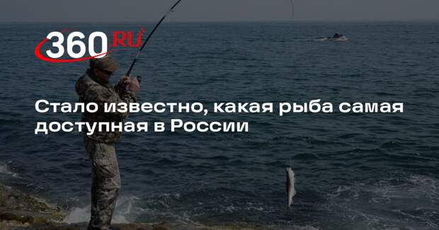 Президент АДМ Буглак: минтай — самый распространенный естественный белок в РФ