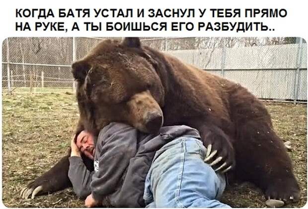 Подборка картинок. Вечерний выпуск (30 фото)
