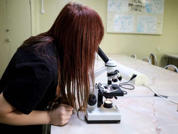 Юных тюменских химиков будут готовить к региональному этапу Всероссийской олимпиады школьников