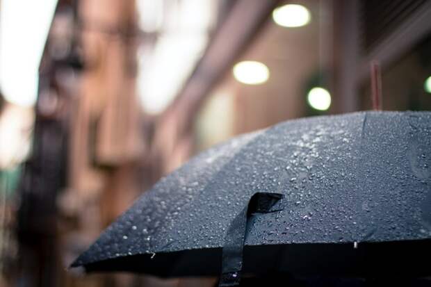 Жителей Ленобласти предупредили о дождях и грозах в воскресенье 