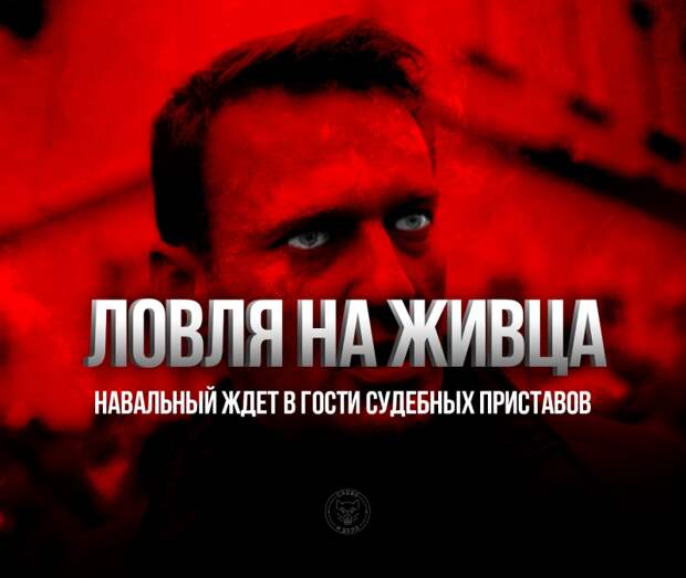 Ловля на живца: Навальный ждет в гости судебных приставов