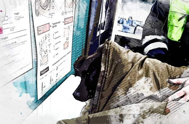 В Орле инспекторы ДПС доставили в ветклинику истерзанную собаку