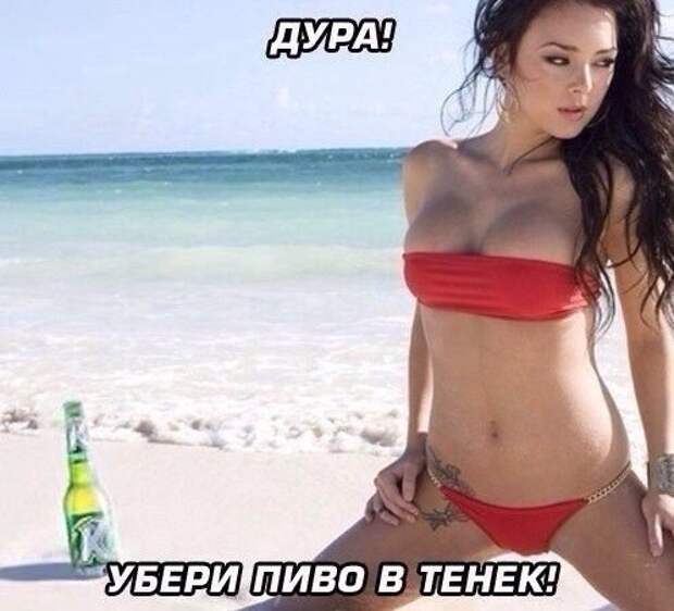 Смешные и пошлые картинки  комментарии, переписка, смс, соц. сети, юмор