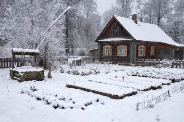 Риелтор рассказала, какие дачи в Подмосковье в 2026 году выросли в цене