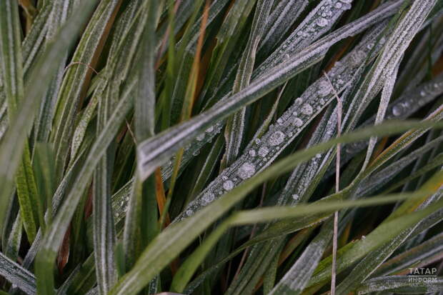 До конца недели неустойчивая погода с дождями и заморозками не покинет Татарстан