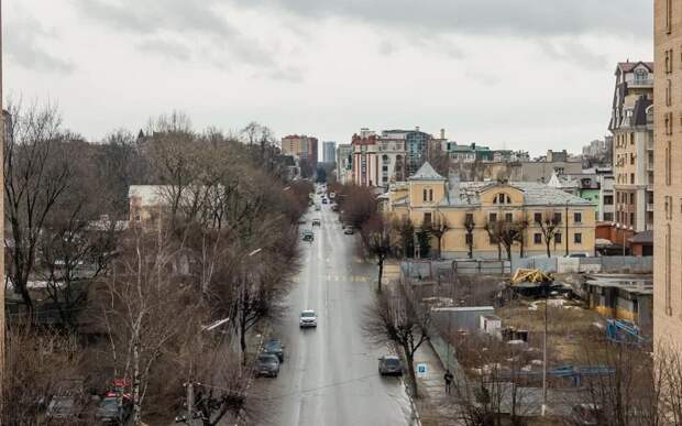В центре Рязани бродячая собака атаковала женщину