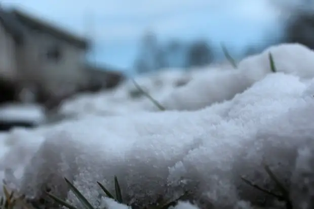 Весна пришла! Прогноз погоды на 20 марта