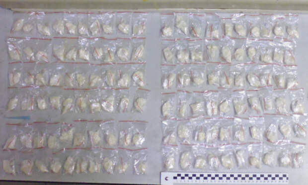 У смолянки изъяли около 880 граммов наркотических веществ