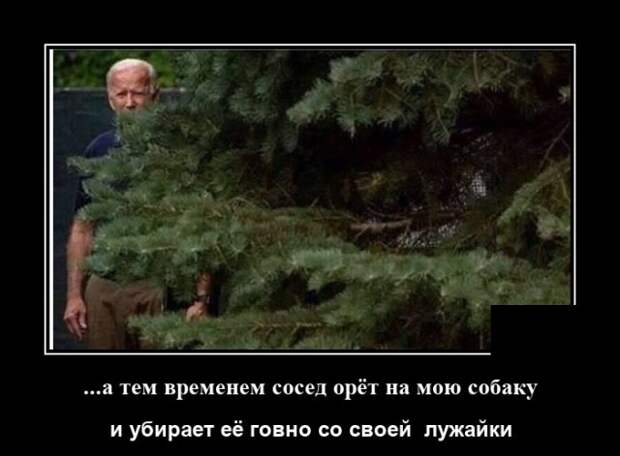 Демотиваторы 13 августа 2020