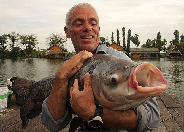 Речные монстры - вот это улов