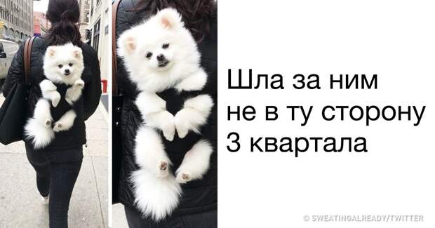 https://files.adme.ru/files/news/part_176/1765165/preview-16201165-1200x630-99-1525670487.jpg