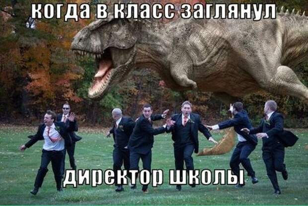 Школьные будни: приколы о годах, проведённых за партой