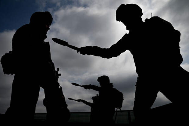 NYT: лиственные деревья стали ключевым оружием весеннего наступления ВС РФ