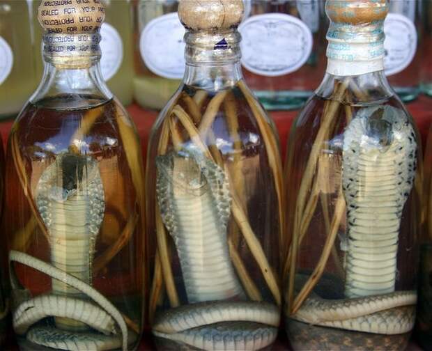 вьетнамская водка со змеей