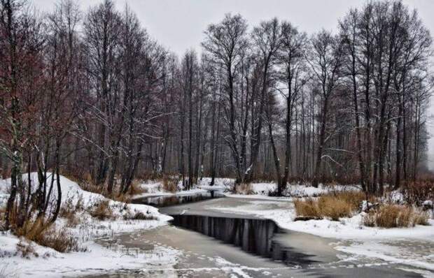 Февраль 2026: между оттепелью и солнцем. Каким будет финал зимы в России и за её пределами