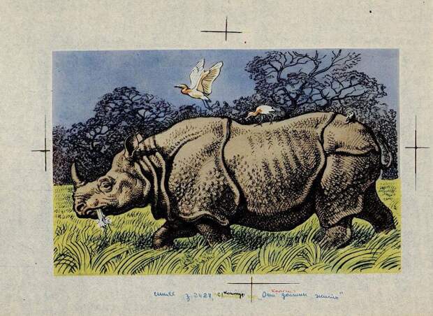 В. Горбатов. Индийский носорог. 1987 год. Государственный Дарвиновский музей