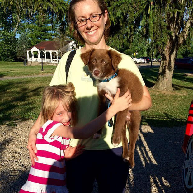adopted-dogs-first-day-home-4-5795f63a96021__700