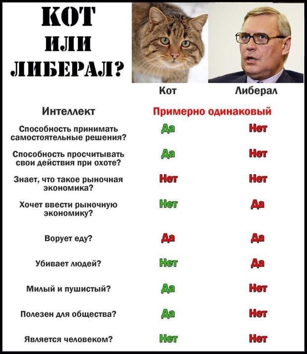 CvXHzt8WgAAf6kl.jpg