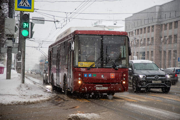 В Туле за сутки выявили 246 безбилетников в общественном транспорте