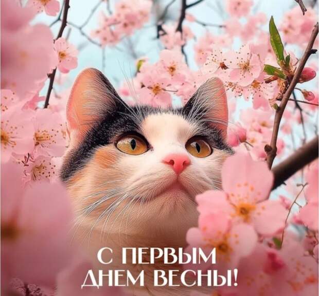 Донецкая группа новостей, Донецк ДНР