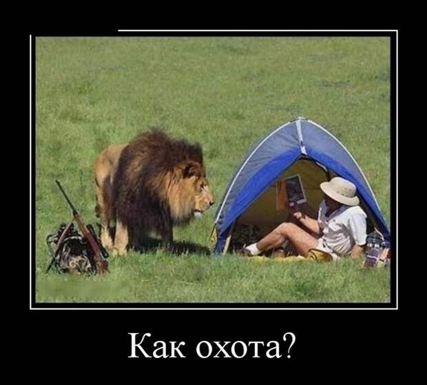 Демотиваторы (30 фото)