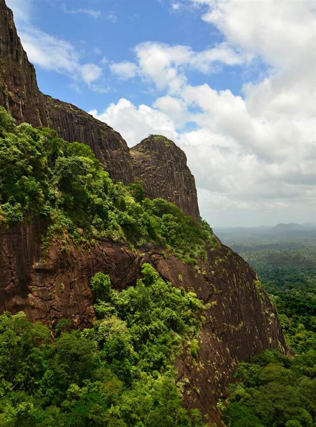 Это уникальная гранитная гора, возвышающаяся на 700 метров над тропическими лесами