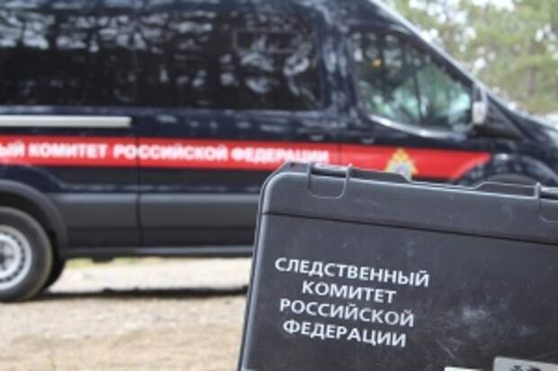 В центральный аппарат СК России затребован доклад в связи с публикацией о нападении на жителей Московской области