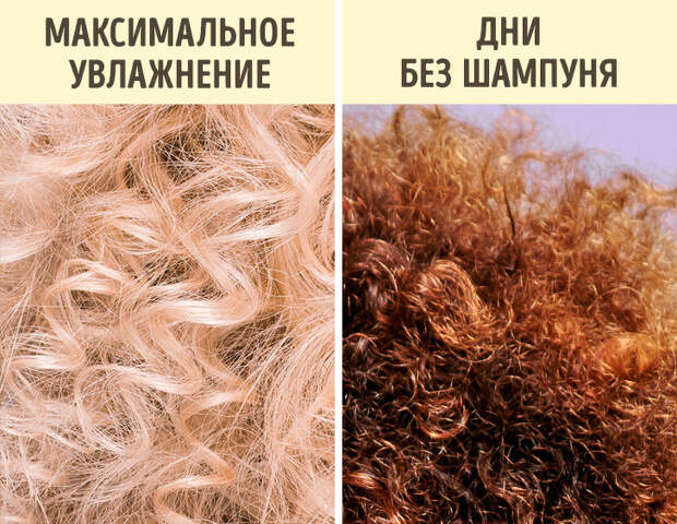 Как определить свой тип волос и выжать из него максимум красоты (Об этом знают не все парикмахеры)