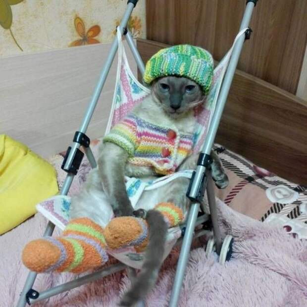 Прикольные картинки