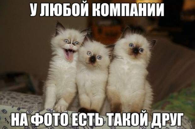 ПОЗИТИВНЫЙ ПОСТ+ 166