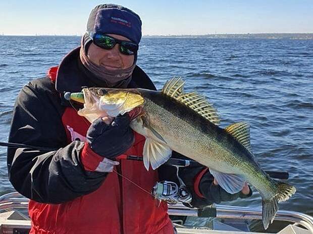 Ловля на спиннинг под Волгоградом