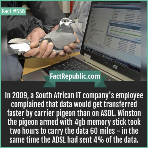 Everyday Life Facts
