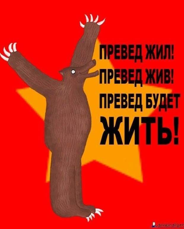 Прэвэд мэдвэд картинка