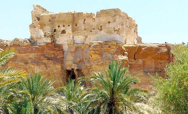 Фото из свободных источников.