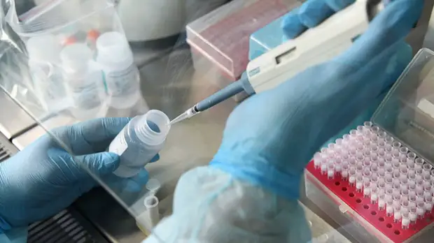 Сбежавшая из-под карантина в Севастополе не была гражданкой России